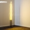 Mapleton Floor Lamp LED matt nickel, 3-light sources, Remote control