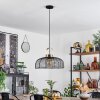 Jessie Pendant Light black, 1-light source