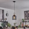 Jessie Pendant Light black, 1-light source