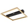 Globo LUFFY Ceiling Light LED black, 1-light source