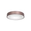 Steinhauer Ringlede Ceiling Light, 1-light source