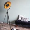 Steinhauer Sunflower Floor Lamp, 1-light source