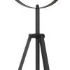 Steinhauer Sunflower Floor Lamp, 1-light source