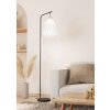 Eglo MINTING Floor Lamp black, 1-light source