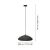 Eglo BARLASTON Pendant Light black, 1-light source