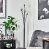 Bernado Floor Lamp black, 5-light sources