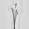 Bernado Floor Lamp black, 5-light sources