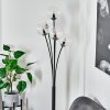 Bernado Floor Lamp black, 5-light sources