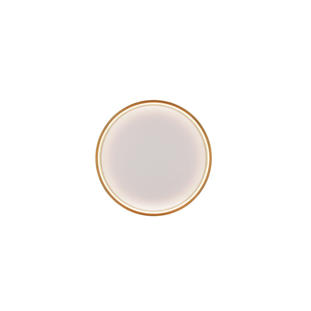 Trio DOHA Ceiling Light LED brass, 1-light source