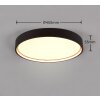 Trio DOHA Ceiling Light LED black, 1-light source