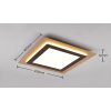 Trio MORGAN Ceiling Light LED gold, black, 1-light source, Remote control