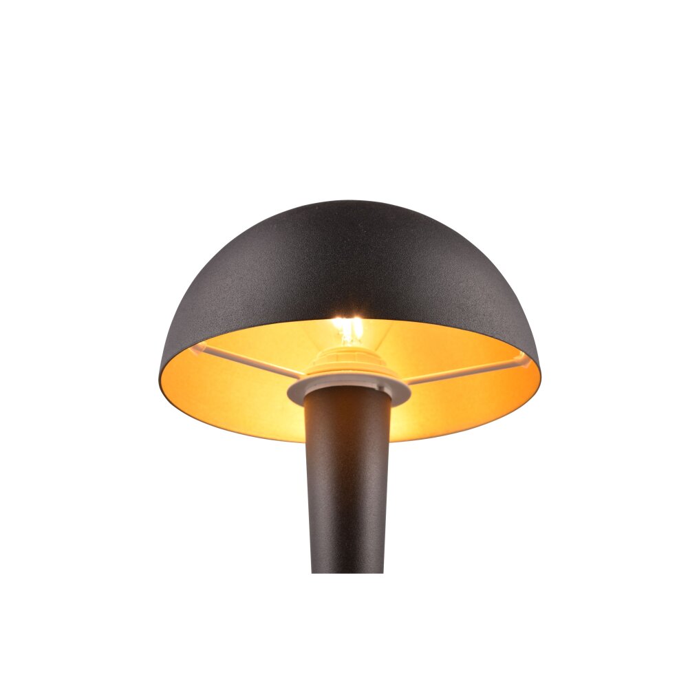 Reality CANARIA Table lamp LED gold, black, 1-light source