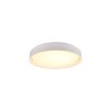 Reality FELIS Ceiling Light LED white, 1-light source, Remote control