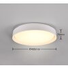 Reality FELIS Ceiling Light LED white, 1-light source, Remote control