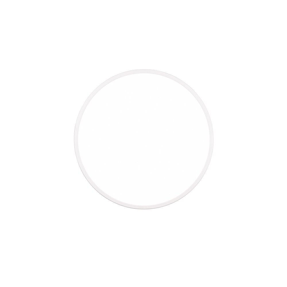 Reality SCOTT Ceiling Light LED white, 1-light source, Remote control