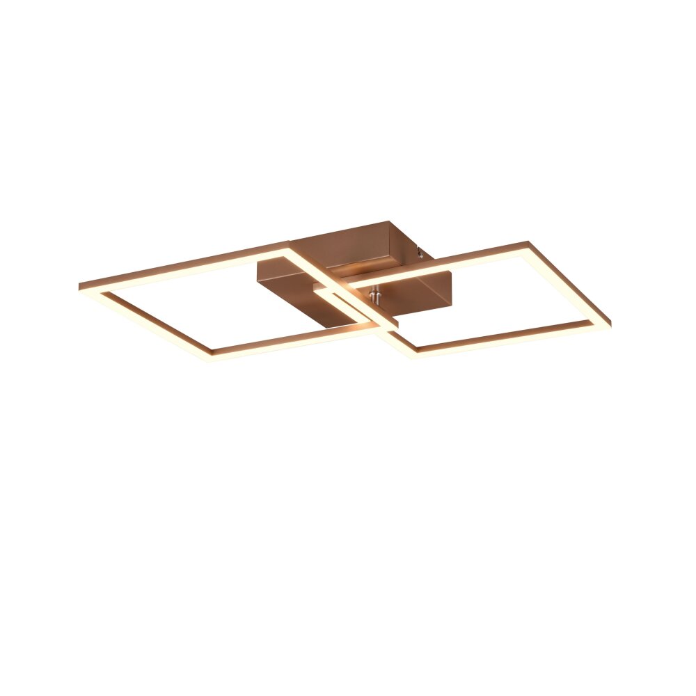 Reality TRAIL Ceiling Light LED brown, 1-light source