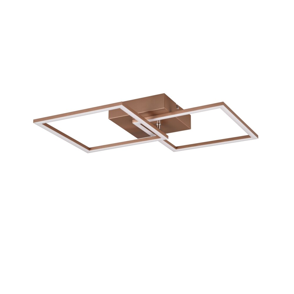 Reality TRAIL Ceiling Light LED brown, 1-light source