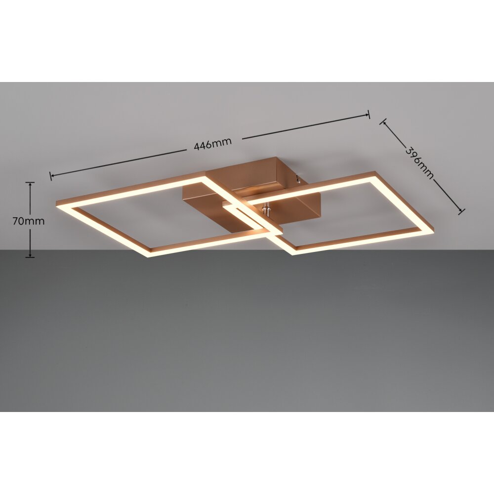 Reality TRAIL Ceiling Light LED brown, 1-light source