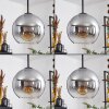 KOYOTO Pendant Light - glass clear, Smoke-coloured, 8-light sources