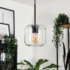 LAUDEN Pendant Light - glass clear, 1-light source