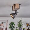 SAFARI Ceiling Light Ecru, black, 1-light source