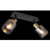 Globo HOLLSY Ceiling Light black, 2-light sources