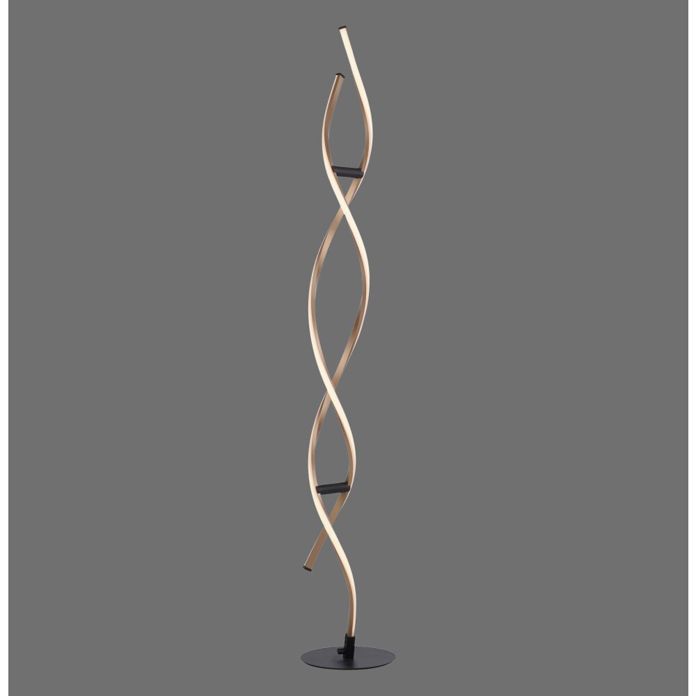 Paul Neuhaus POLINA Floor Lamp LED black 9140 18 lamps.eu