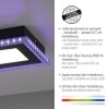 Leuchten-Direkt ACRI Ceiling Light LED black, 2-light sources, Remote control