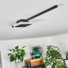 AMDAL Ceiling Light LED black, white, 2-light sources