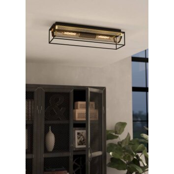 Eglo NOHALES Ceiling Light black, 2-light sources