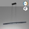 Fischer & Honsel FENGA Pendant Light LED black, 1-light source