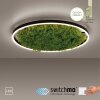 Leuchten-Direkt GREEN RITUS Ceiling Light LED black, 1-light source