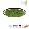 Leuchten-Direkt GREEN RITUS Ceiling Light LED black, 1-light source