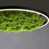 Leuchten-Direkt GREEN RITUS Ceiling Light LED black, 1-light source