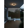 Nordlux JANUKA outdoor ceiling light black, 1-light source