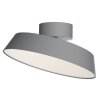 Design For The People by Nordlux KAITO Ceiling Light LED grey, 1-light source