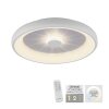 Leuchten-Direkt VERTIGO Ceiling Light LED white, 1-light source, Remote control