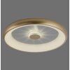 Leuchten-Direkt VERTIGO Ceiling Light LED gold, 1-light source, Remote control