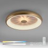 Leuchten-Direkt VERTIGO Ceiling Light LED gold, 1-light source, Remote control