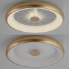 Leuchten-Direkt VERTIGO Ceiling Light LED gold, 1-light source, Remote control