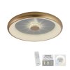 Leuchten-Direkt VERTIGO Ceiling Light LED gold, 1-light source, Remote control