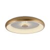 Leuchten-Direkt VERTIGO Ceiling Light LED gold, 1-light source, Remote control