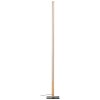 Brilliant ARION Floor Lamp LED black, 1-light source