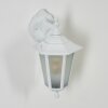 LORIA Outdoor Wall Light white, 1-light source