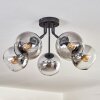 KOYOTO Ceiling Light - glass clear, Smoke-coloured, 5-light sources