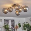 CHEHALIS Ceiling Light gold, black, 6-light sources