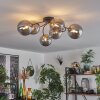 CHEHALIS Ceiling Light gold, black, 6-light sources