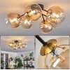 CHEHALIS Ceiling Light gold, black, 6-light sources