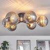 CHEHALIS Ceiling Light gold, black, 6-light sources