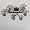 CHEHALIS Ceiling Light gold, black, 6-light sources